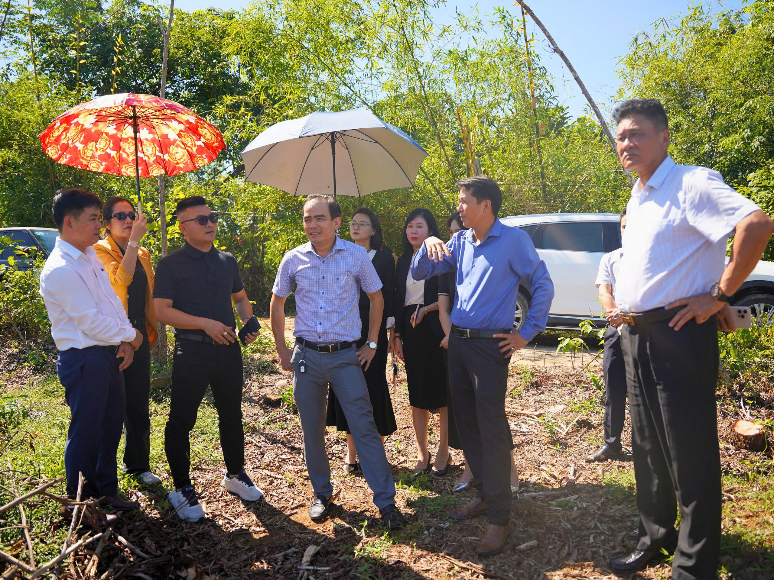 dự án viên nén gỗ tại Hiệp Đức